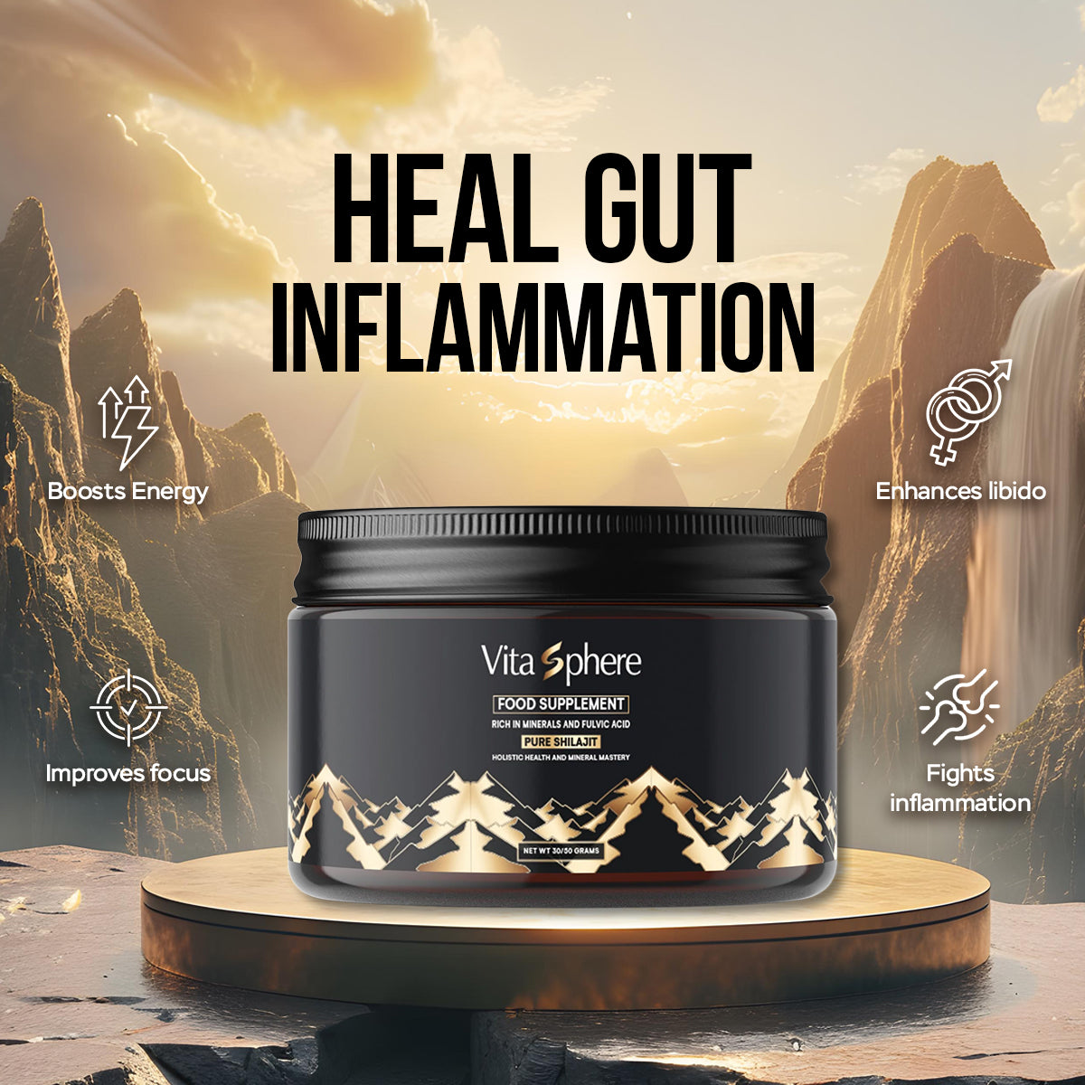 Vitasphere's Shilajit